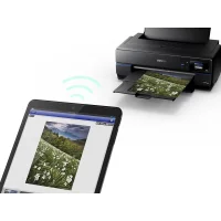 Принтер EPSON SureColor SC-P800 фото 3